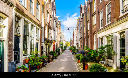 Flower Pots in front of historic houses in the Langestraat between the Brouwersgracht and Blauwburgwal canals in the center of Amsterdam, Netherlands Stock Photo
