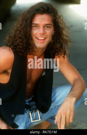 MALIBU, CA - JULY 18: (EXCLUSIVE) Singer Ricky Martin poses at a photo shoot on July 18, 1993 in Malibu, California. Photo by Barry King/Alamy Stock Photo