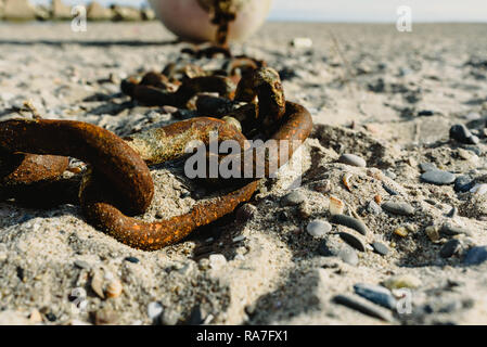 Concept of abandonment, old rusty and broken chains thrown in the sand of a dirty beach. Stock Photo