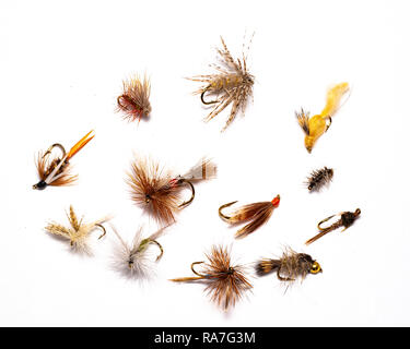 A selection of a dozen wet and dry flies designed for fly fishing for trout  Stock Photo - Alamy