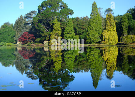 Autumn colours in Sheffield Park Gardens, East Sussex, UK Stock Photo