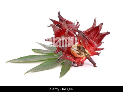 Hibiscus sabdariffa or roselle fruits Stock Photo