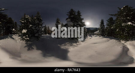 360 degree panoramic view of Winter forest of fir trees at night under the moonlight of the full moon in the mountains. Spherical 360vr panorama.