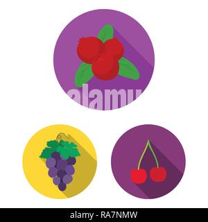 blackberry,cranberry,food,honeysuckle,grape,cherry,branch,gooseberry,red,berry,fruit,forest,redberry,fresh,cocktail,medicine,autumn,sweet,health,set,vector,icon,illustration,isolated,collection,design,element,graphic,sign,flat,shadow, Vector Vectors , Stock Vector
