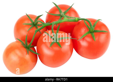 Tomato. Tomato branch. Tomatoes isolated on white. With clipping path. Stock Photo