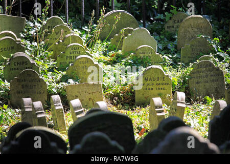 LONDON, UNITED KINGDOM - MAY 29: Pet Graveyard on MAY 29, 2009. Animal Cemetery from Victorian Era in Hyde Park in London, United Kingdom. Stock Photo