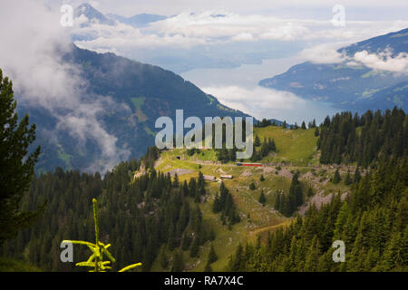 Schynige Platte Railway: train being pushed up a steep gradient at Bigelti, with the Thunersee in the distance, Bernese Oberland, Switzerland Stock Photo