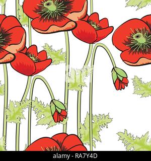 Vector beautiful poppies illustration. Easily editable vector image Stock Vector