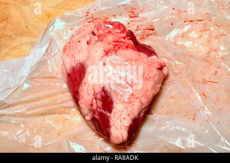 Lamb's heart bought from a supermarket. Stock Photo