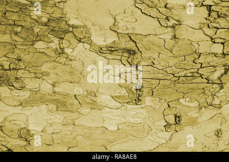 Ancient, wooden, background, faded, peeling, paint., Old, painted, surface, texture., Shaved, boards, cracked, colored Stock Photo