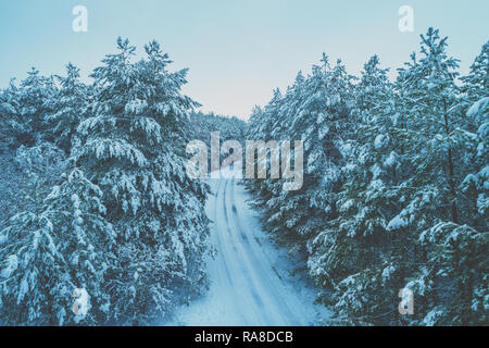 The road in the winter pine forest. The trees are covered with snow. Aerial view Stock Photo