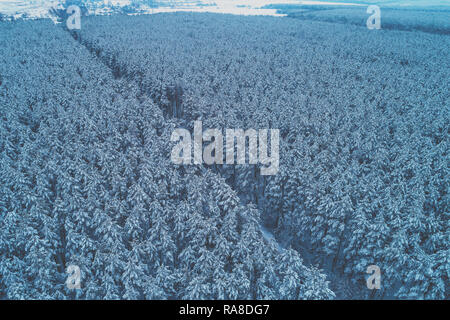 Pine snowy forest in winter. Trees covered with snow. Road in the forest. Aerial view Stock Photo