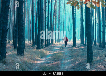 A man walks early in the morning along a forest road