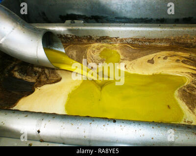 Making oil Olive oil falling into a metal decanter inside an oil mill Stock Photo
