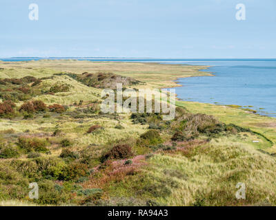 Panorama of dunes and Wadden Sea coast of nature reserve Het Oerd on West Frisian island Ameland, Friesland, Netherlands Stock Photo