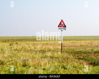 Warning sign for dangerous quicksand in salt marshes of coast of West Frisian island Schiermonnikoog at low tide of Wadden Sea, Netherlands Stock Photo