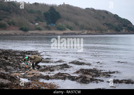 A father and son looking into a rockpool in Cornwall during the winter. Stock Photo