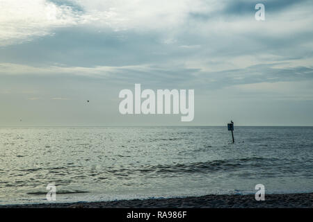 A pelican sits on a sign at the beach in Florida -Manasota Key, West Coast, Punta Gorda Stock Photo