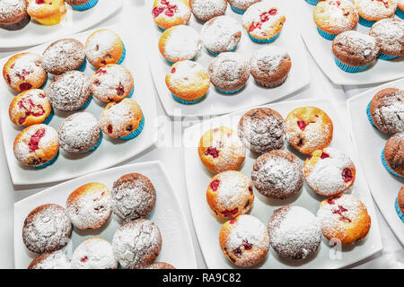 Sweet Muffins  - Chocolate chip and vanilla raspberry cupcakes decorated with icing sugar, top view Stock Photo