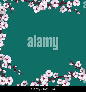Cherry blossom. Sakura flowers.  Easily editable vector image Stock Vector
