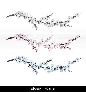 Cherry blossom. Sakura flowers. Floral background. Branch with pink flowers.  Easily editable vector image Stock Vector