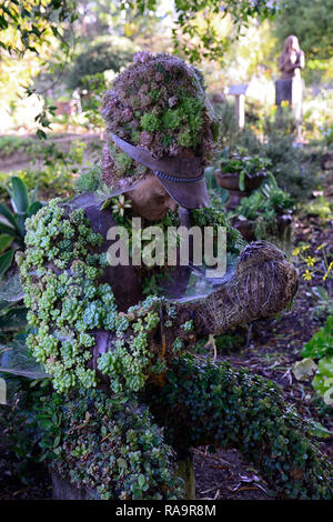 mariachi topiary,San Diego Botanic Garden,Quail Botanical Gardens,California,Succulent,succulents,garden feature,design,art,installation,living,growin Stock Photo