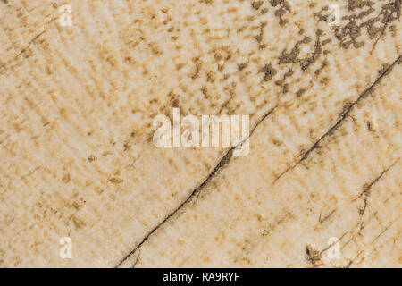 Old grunge stone background. Horizontal color photography. Stock Photo