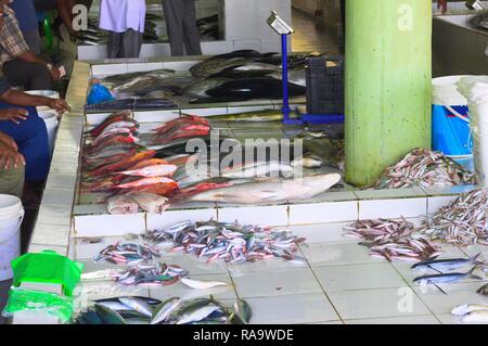 Fish market in Male (Maldives, Asia) Stock Photo