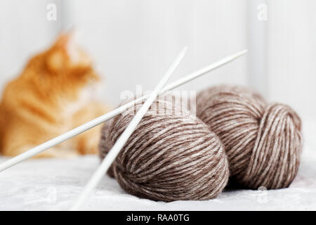 Closeup balls of yarn and knitting needles lie on the bed. Red cat on a blurred background. Stock Photo
