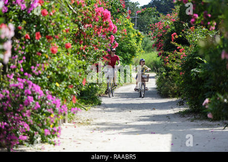 Mother and son exploring traditional village of Taketomi while riding bicycles on streets covered with hibiscus island in Okinawa,Japan Stock Photo