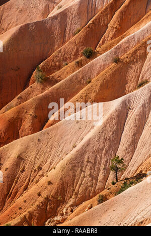 Bryce Canyon National Park, Utah, USA. Canyon walls made of eroding sedimentary limestone. Stock Photo