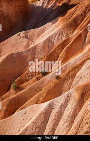 Bryce Canyon National Park, Utah, USA. Canyon walls made of eroding sedimentary limestone. Stock Photo
