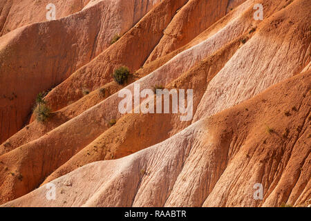 Bryce Canyon National Park, Utah, USA. Canyon walls made of eroding sedimentary limestone. Stock Photo