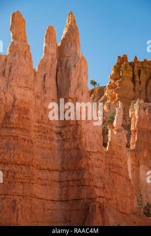 Bryce Canyon National Park, Utah, USA. Hoodoo rock formations in sedimentary limestone on the Queens Garden Trail. Stock Photo