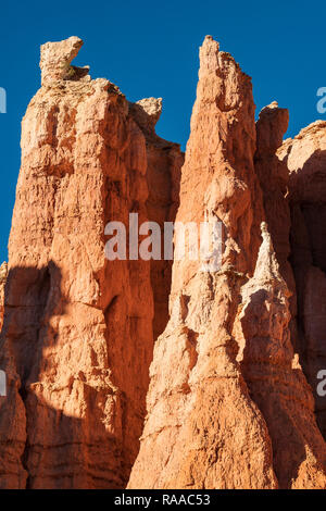 Bryce Canyon National Park, Utah, USA. Hoodoo rock formations in sedimentary limestone on the Queens Garden Trail. Stock Photo