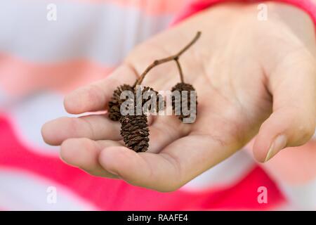 girl holds on a palm twig with small pinecone Stock Photo