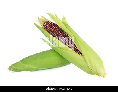 Fresh purple corn isolated on white background Stock Photo