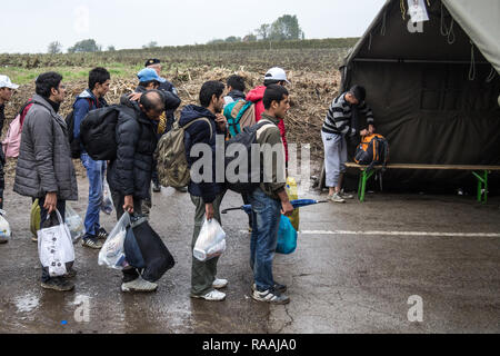 BAPSKA, CROATIA - OCTOBER 17 2015: Refugees waiting to enter Croatia on the Croatian Serbian border, on the Balkans Route, during the Refugee Crisis,  Stock Photo