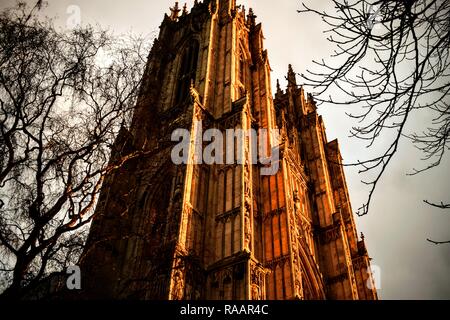 Beverley Minster in the sunset. Stock Photo