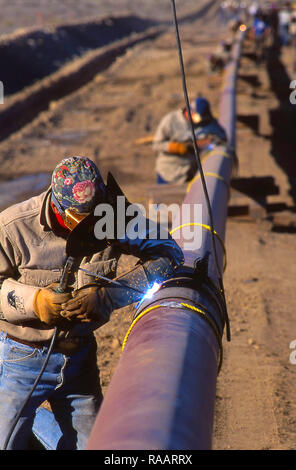 Pipeline Construction Stock Photo