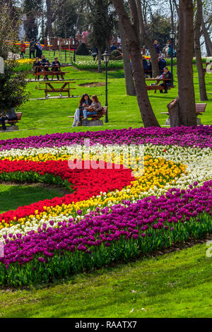 In April the annual International Istanbul Tulip Festival.  The Emirgan Park is a historical urban park located at the Emirgan neighbourhood in the Sa Stock Photo