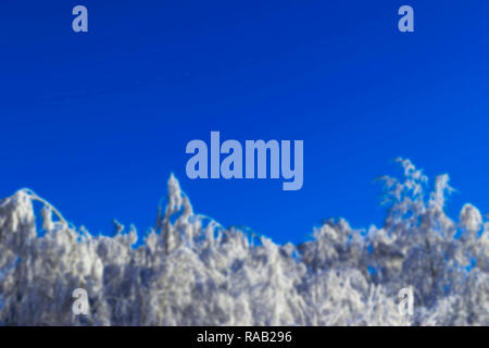 Abstract blurred bokeh background with tops of snow-covered trees against blur blue sky Stock Photo