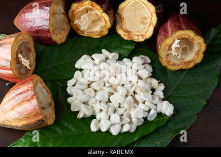 Raw cacao chocoalte fruits. White beans of cocoa on green leafs Stock Photo