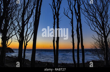 Dranske, Germany. 02nd Jan, 2019. Sunset behind a beech forest at the steep coast of the western side of the island Rügen. Credit: Patrick Pleul/dpa-Zentralbild/ZB/dpa/Alamy Live News Stock Photo