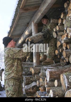 CAMP ADAZI, Latvia – Spc. Sean Boer, Paratrooper, Chosen Company, 2nd Battalion, 503rd Infantry Regiment, 173rd Airborne Brigade, hands firewood to Sgt. Joshua Boyle, Paratrooper, C Co., 2nd Bn., 503rd Inf. Regt., to stack at Bērzupes Special Needs Boarding School in Dobele, Latvia, Jan. 17, 2017. The Paratroopers helped prepare a stockpile of firewood for the school in conjunction with the U.S. Embassy and Latvian soldiers. The ‘Sky Soldiers’ of 2nd Bn., 503rd Inf. Regt. are on a training rotation in support of Operation Atlantic Resolve, a U.S. led effort in Eastern Europe that demonstrates  Stock Photo
