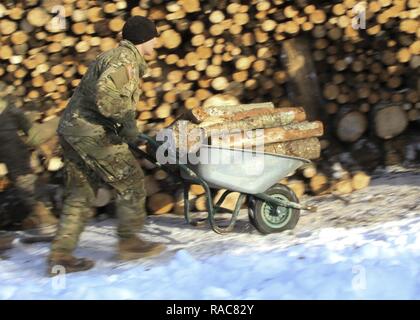 CAMP ADAZI, Latvia – A Paratrooper assigned to Chosen Company, 2nd Battalion, 503rd Infantry Regiment, 173rd Airborne Brigade, pushes a wheelbarrow of firewood at Bērzupes Special Needs Boarding School in Dobele, Latvia, Jan. 17, 2017. The outreach was conducted in conjunction with the U.S. Embassy and Latvian soldiers to provide a supply of firewood to heat the school. The ‘Sky Soldiers’ of 2nd Bn., 503rd Inf. Regt. are on a training rotation in support of Operation Atlantic Resolve, a U.S. led effort in Eastern Europe that demonstrates U.S. commitment to the collective security of NATO and d Stock Photo