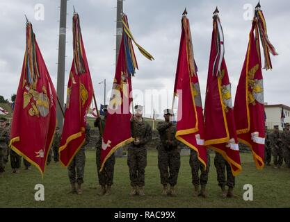 U.S. Marines carry the Marine Corps colors during a change of command ceremony for 3rd Marine Division on Camp Courtney, Okinawa, Japan, Jan. 20, 2017. Maj. Gen. Richard L. Simcock II relinquished command to Maj. Gen. Craig Q. Timberlake. Stock Photo