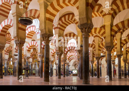 Interior of the Mosque-Cathedral (Great Mosque of Cordoba) (Mezquita), UNESCO World Heritage Site, Cordoba, Andalusia, Spain, Europe Stock Photo