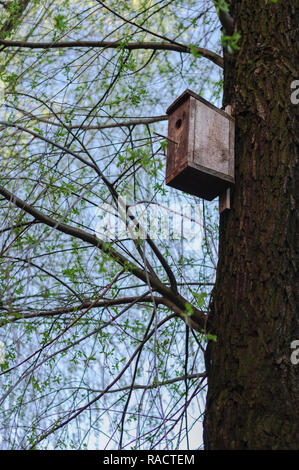 Bird house on tree at spring. Leaves blooming Stock Photo