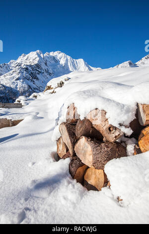 Firewood covered with snow with Monte Disgrazia in the background, Alpe dell'Oro, Valmalenco, Valtellina, Lombardy, Italy, Europe Stock Photo